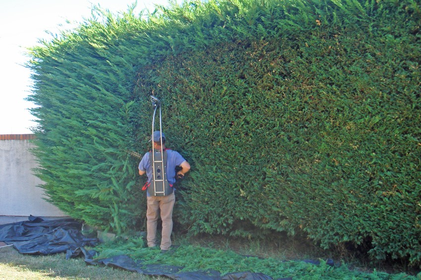 Haie artificielle pour un effet naturel