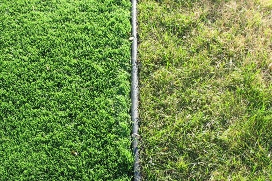 gazon-synthétique-qualité