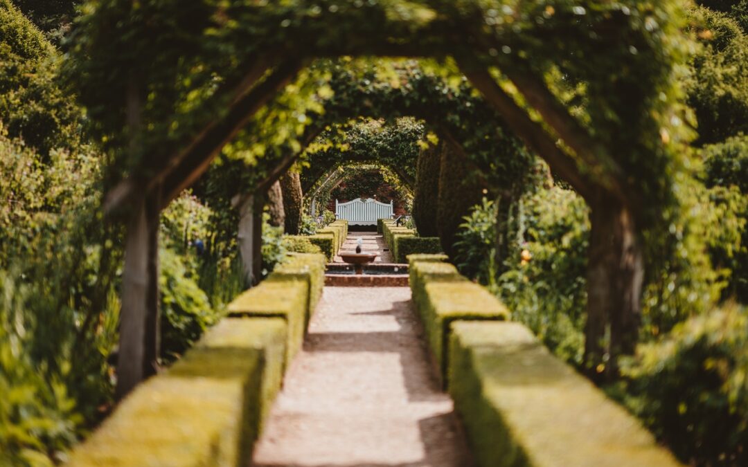 haie artificielle brise vent