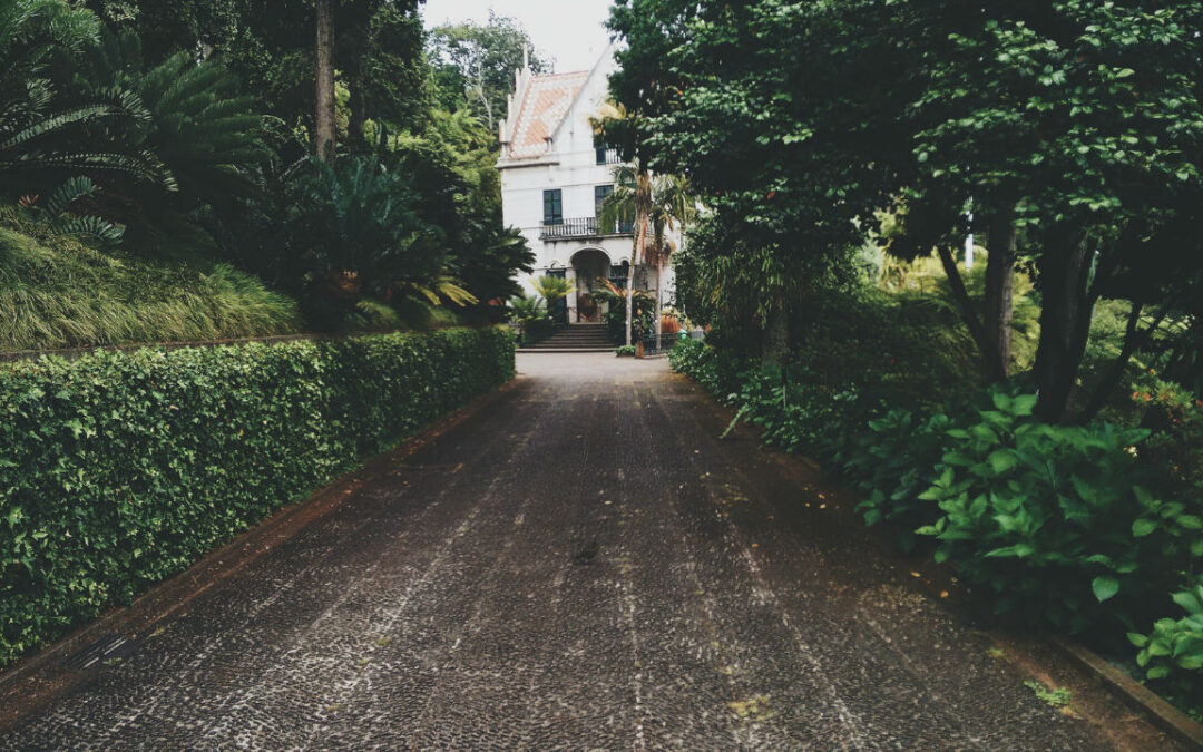 haie artificielle décorative