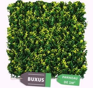 haie buxus