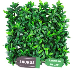 haie laurus