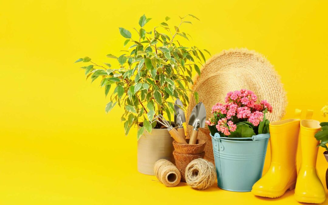 accessoire jardinerie jaune