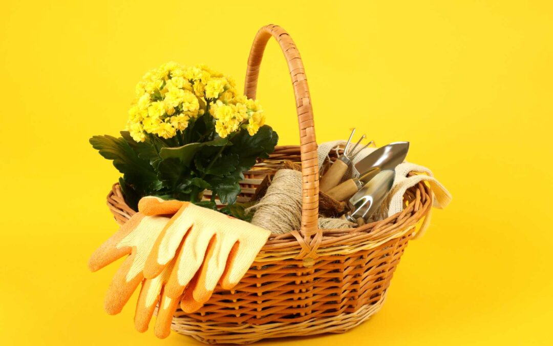 accessoire jardinerie jaune 2