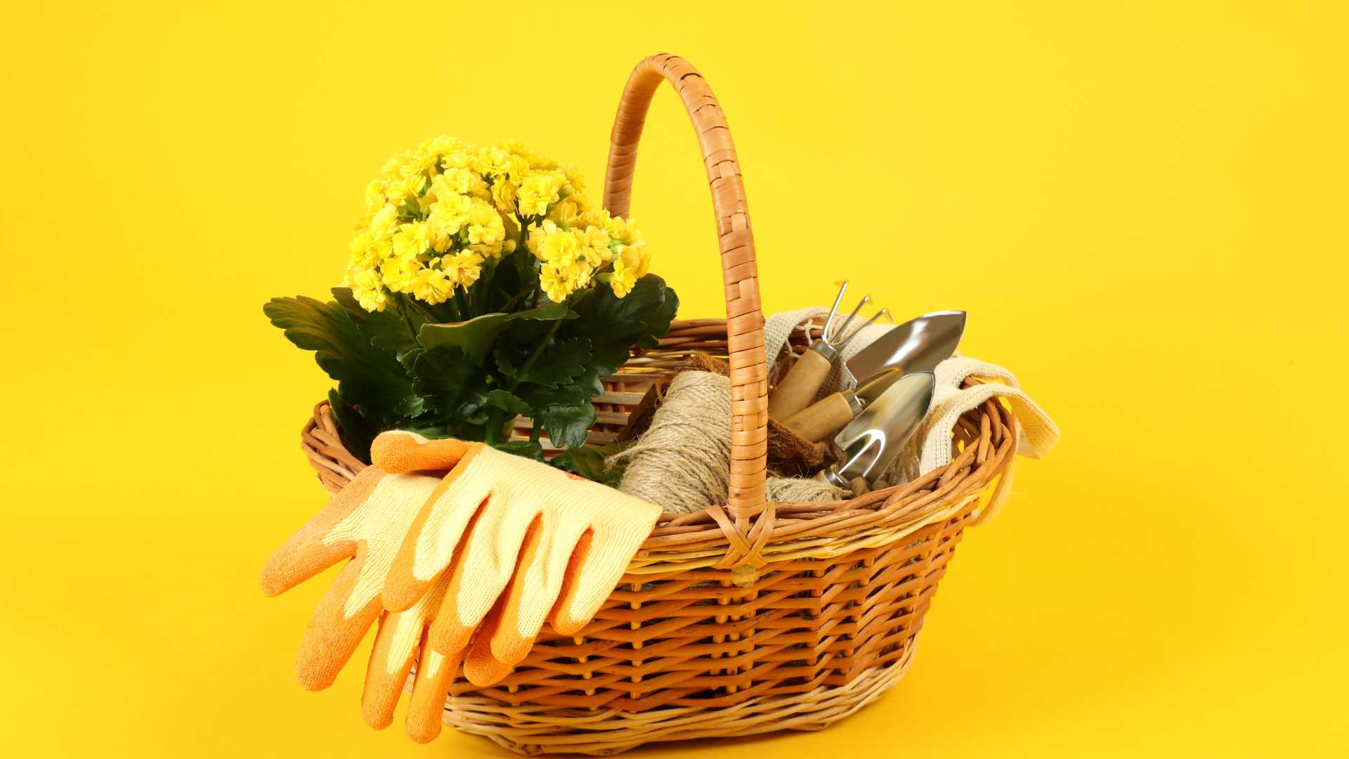 accessoire jardinerie sur fond jaune