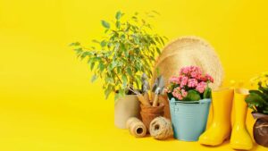 accessoire jardinerie sur fond jaune
