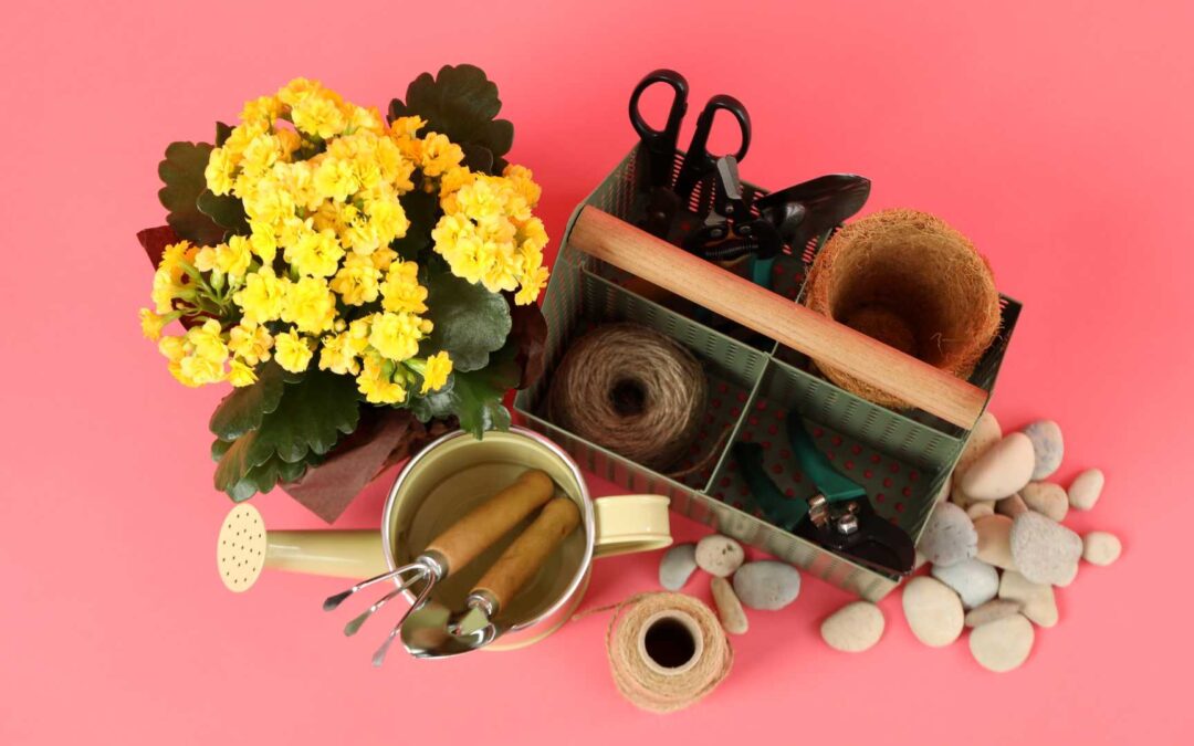 accessoire jardinerie rose