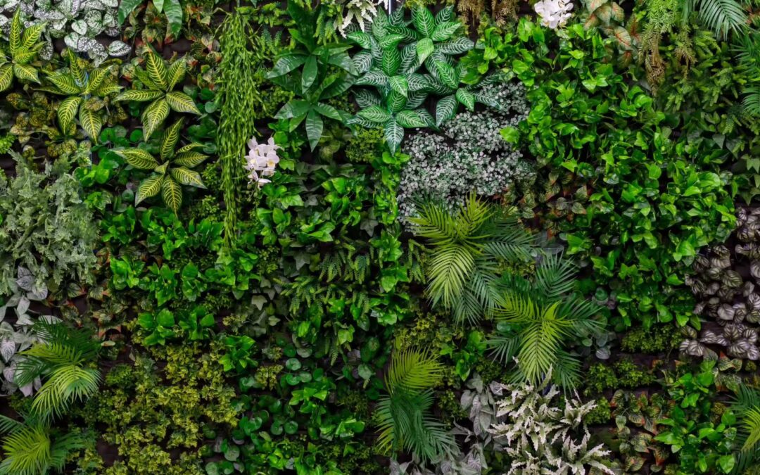 mur végétaux