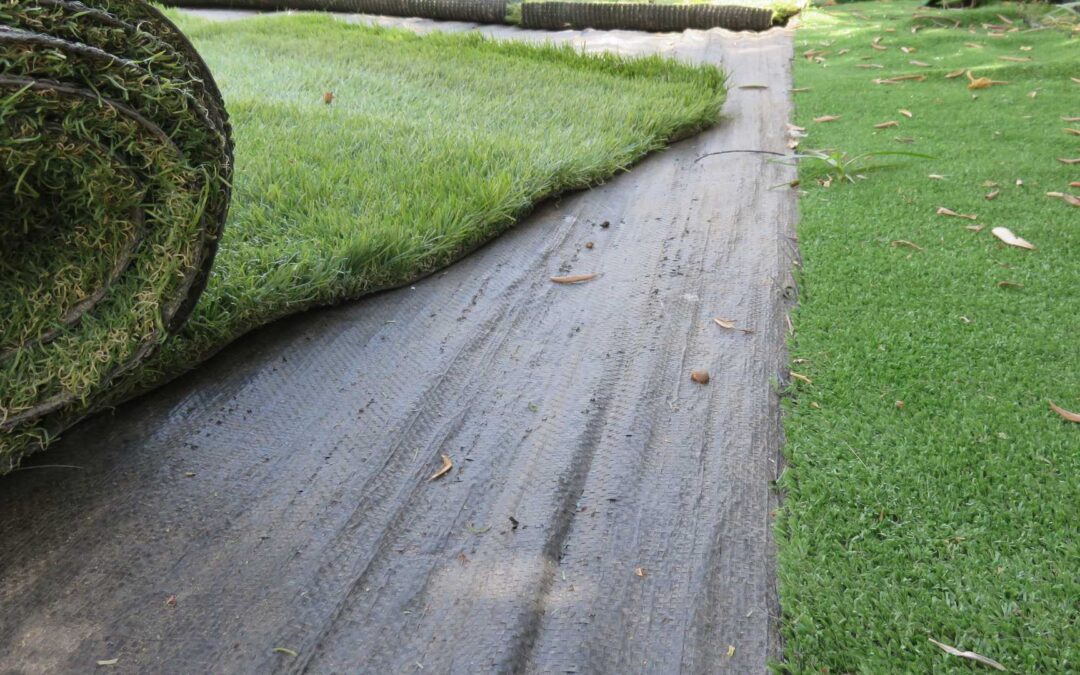 gazon synthétique(1)