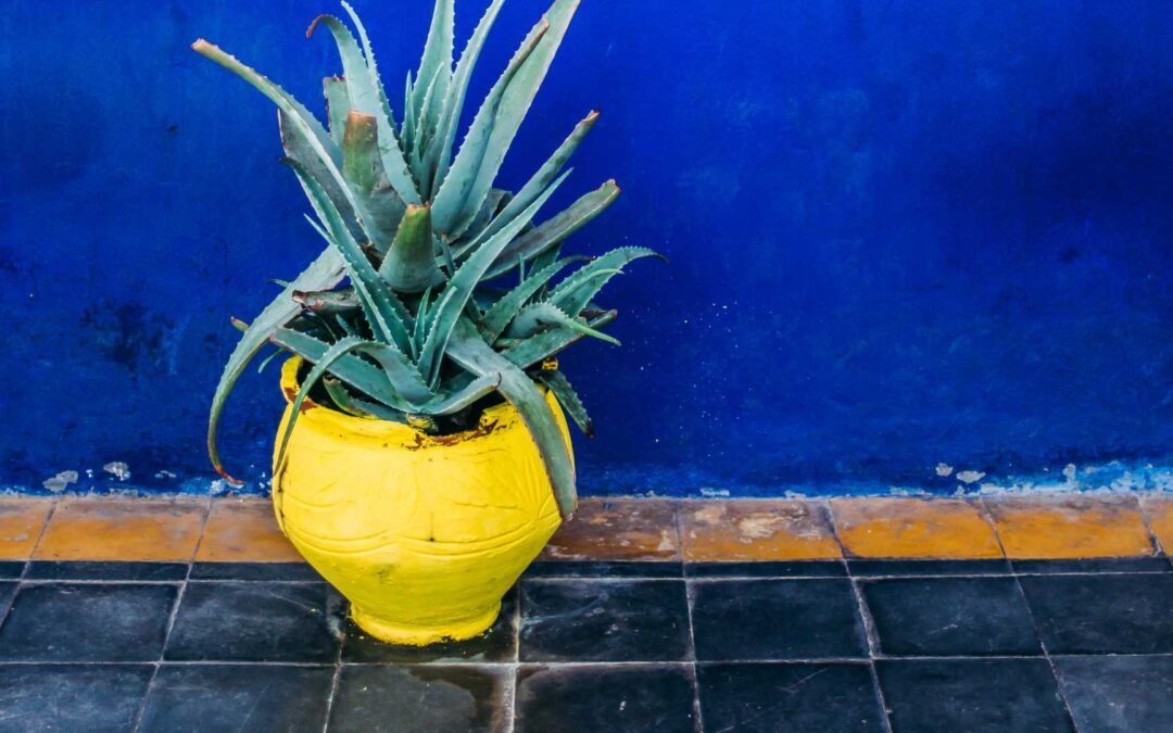 plante artificiel en pot