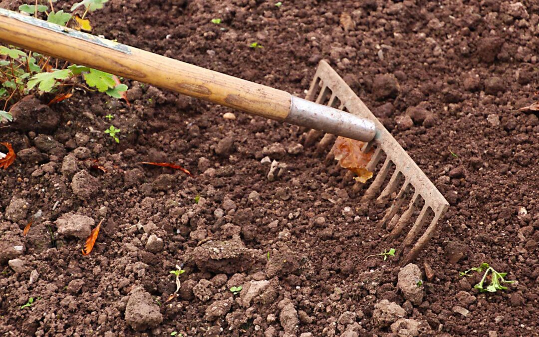 installation gazon synthétique terre