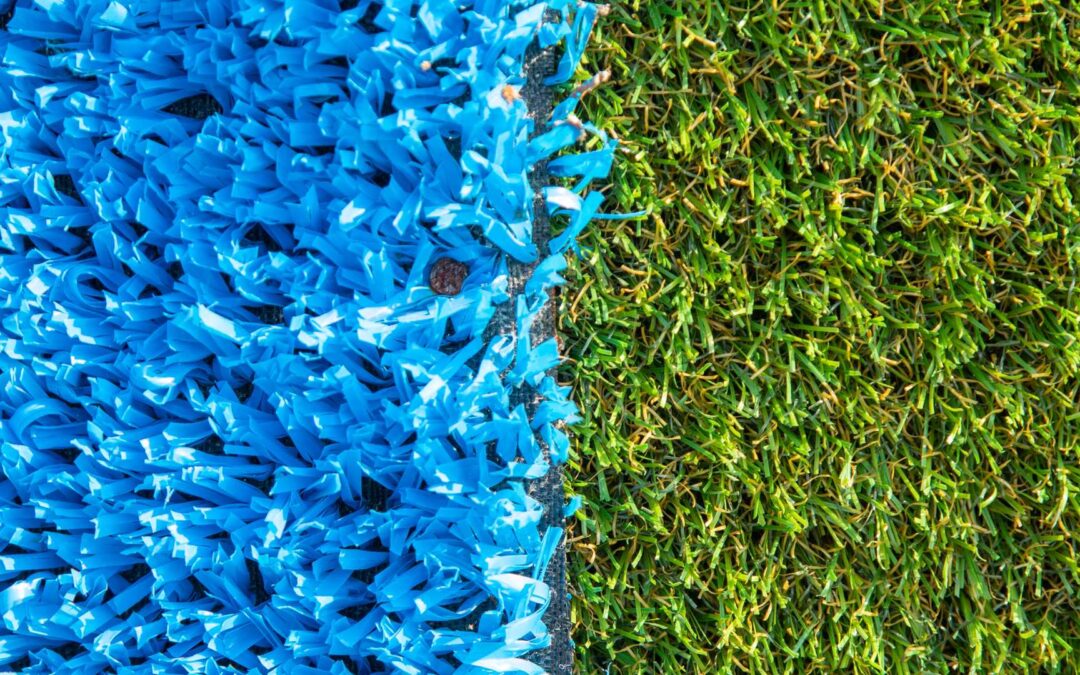 gazon synthétique bleu et vert
