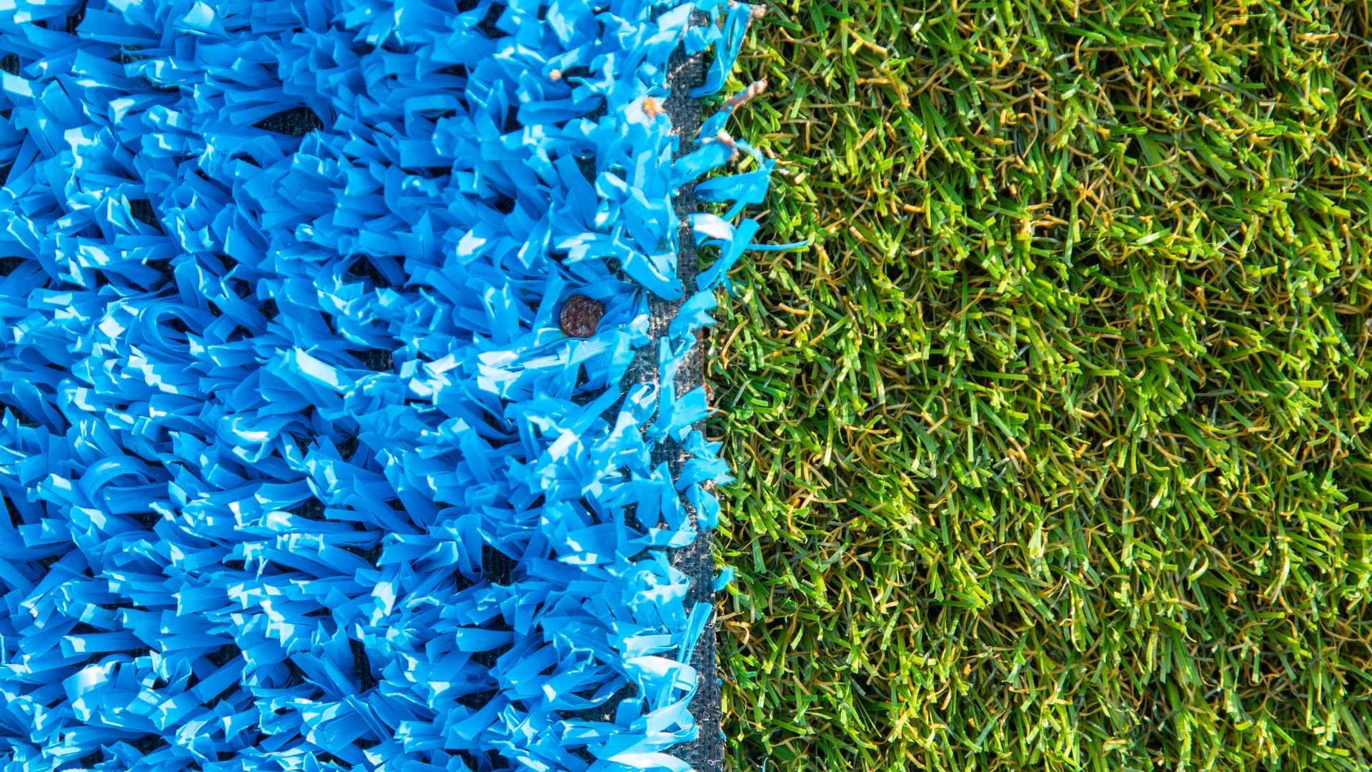 gazon synthétique bleu et vert