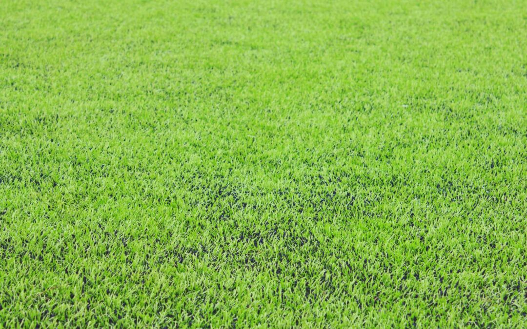 gazon synthétique fond