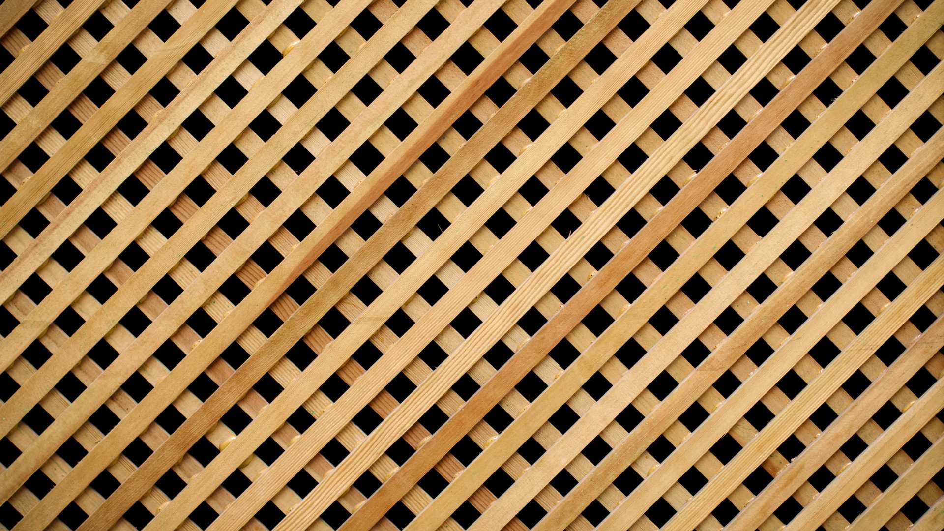 treillis en bois