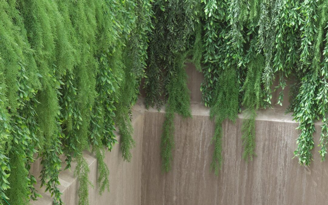 mur vegetal decoration