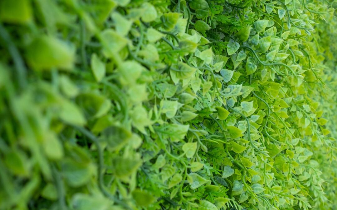 mur vegetal decoration tendance