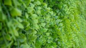 mur vegetal decoration tendance