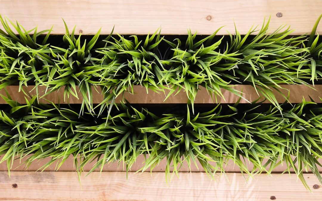 mur vegetal entretien